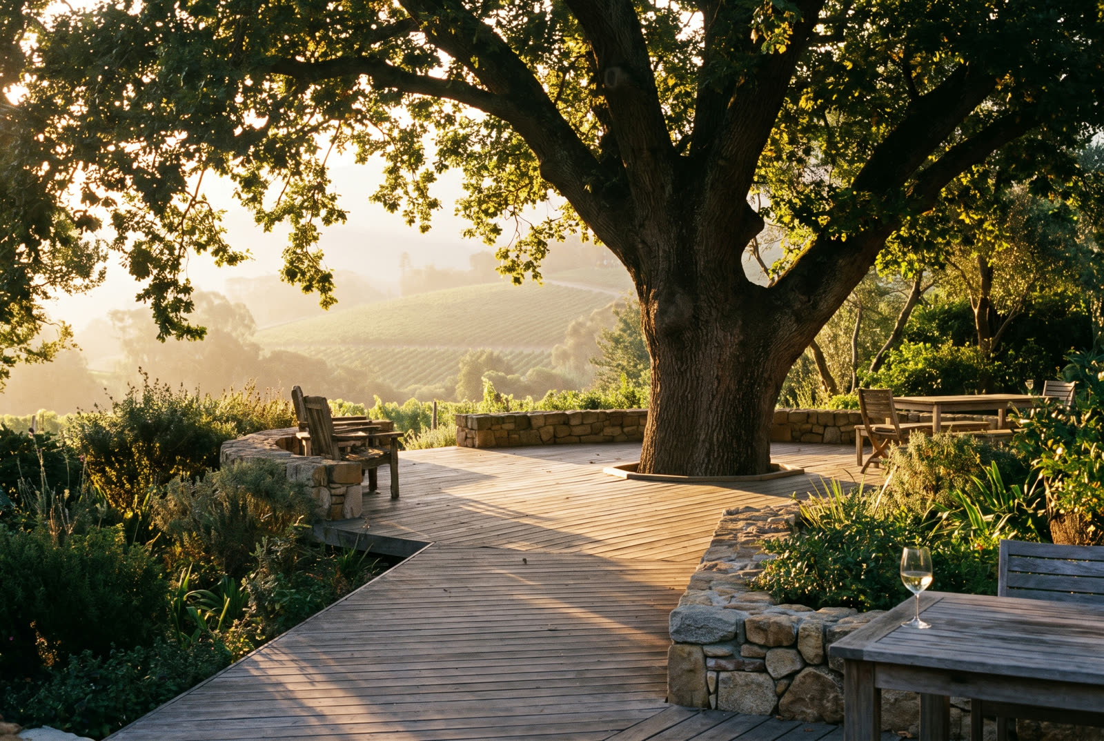 Garapa garden deck wrapped around an oak in Constantia